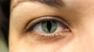 Ancient Aliens, Season 8 Episode 5 image