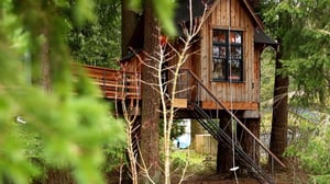 Treehouse Masters, Season 3 Episode 3 image