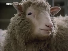 Horizon, Season 34 Episode 16 image