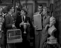 Our Miss Brooks, Season 1 Episode 25 image
