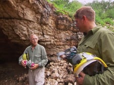 Dangerous Encounters, Season 2 Episode 5 image