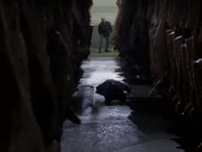 Millennium, Season 1 Episode 20 image