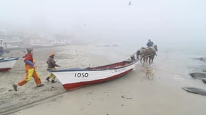 Born to Explore, Season 1 Episode 24 image