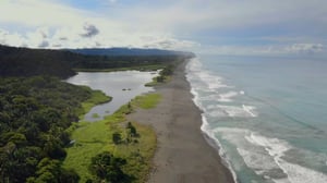 Wild Central America, Season 1 Episode 1 image