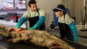 Harrow, Season 1 Episode 3 image