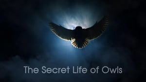 The Nature of Things, Season 56 Episode 9 image