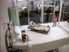 Punk'd, Season 8 Episode 6 image