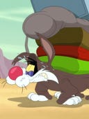 Looney Tunes Cartoons, Season 4 Episode 15 image
