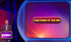 Pointless Celebrities, Season 3 Episode 11 image