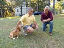 Today's Homeowner with Danny Lipford, Season 13 Episode 6 image