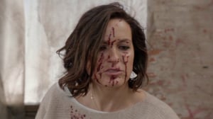 Law & Order: Special Victims Unit, Season 15 Episode 21 image