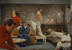 I Spy, Season 2 Episode 7 image