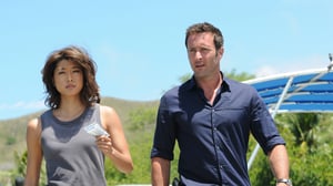 Hawaii Five-0, Season 6 Episode 3 image
