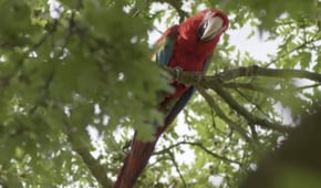 Sister Boniface Mysteries, Season 2 Episode 1 image