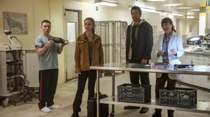 NCIS: Hawai'i, Season 3 Episode 10 image