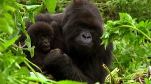 Departures, Season 3 Episode 10 image