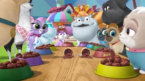 Puppy Dog Pals, Season 3 Episode 3 image