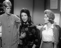 My Three Sons, Season 3 Episode 12 image