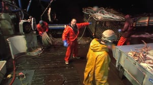 Deadliest Catch, Season 4 Episode 5 image