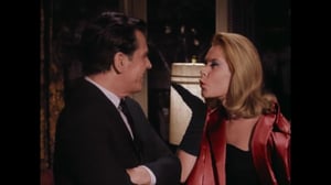 Bewitched, Season 1 Episode 24 image