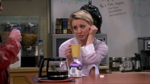 The Big Bang Theory, Season 9 Episode 8 image