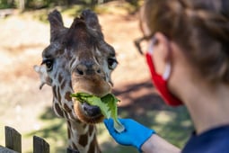 Secrets of the Zoo: North Carolina, Season 1 Episode 5 image