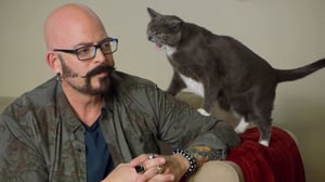 My Cat from Hell, Season 10 Episode 1 image