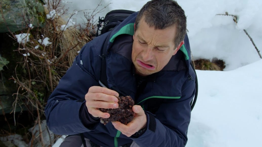 You vs. Wild: How to Kill Bear Grylls or at Least Make His Life a Living  Hell - TV Guide