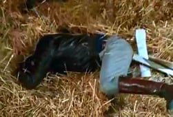 The Fall Guy, Season 1 Episode 17 image