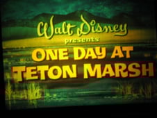 The Magical World of Disney, Season 11 Episode 8 image