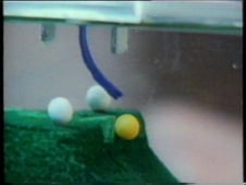 Horizon, Season 29 Episode 16 image