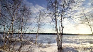 Yukon Men, Season 5 Episode 3 image