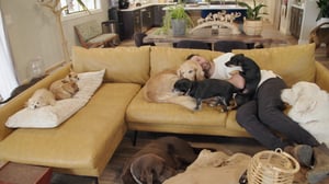 My Pack Life, Season 1 Episode 5 image