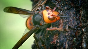 Earth Odyssey with Dylan Dreyer, Season 2 Episode 35 image