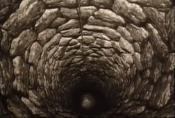 Zorro, Season 1 Episode 34 image