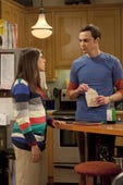 The Big Bang Theory, Season 4 Episode 20 image