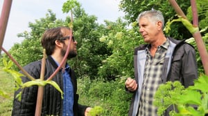 Anthony Bourdain: Parts Unknown, Season 2 Episode 4 image