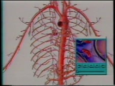 Horizon, Season 30 Episode 19 image