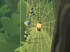 Wild Kratts, Season 2 Episode 8 image