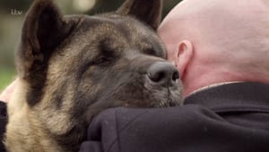 Secret Life of Dogs, Season 2 Episode 1 image