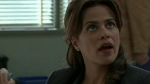 Da Vinci's Inquest, Season 2 Episode 13 image