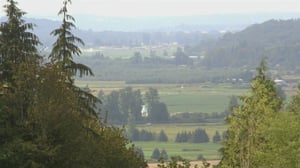 Homicide for the Holidays, Season 1 Episode 2 image