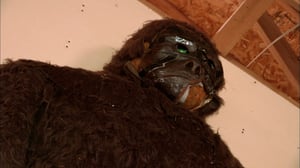 In Search of Aliens, Season 1 Episode 5 image