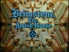 The Magical World of Disney, Season 15 Episode 5 image