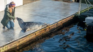 SOKO Wismar, Season 18 Episode 1 image