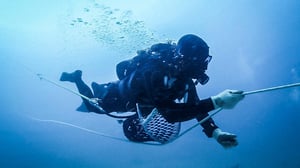 Outback, Season 1 Episode 2 image