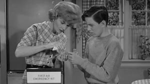 Leave It to Beaver, Season 6 Episode 25 image