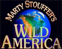 Wild America, Season 10 Episode 4 image