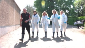 The Real Housewives of Orange County, Season 11 Episode 16 image