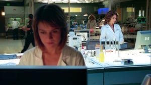CSI: NY, Season 5 Episode 4 image